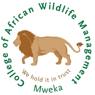 Icon associated with collection:  College of African W